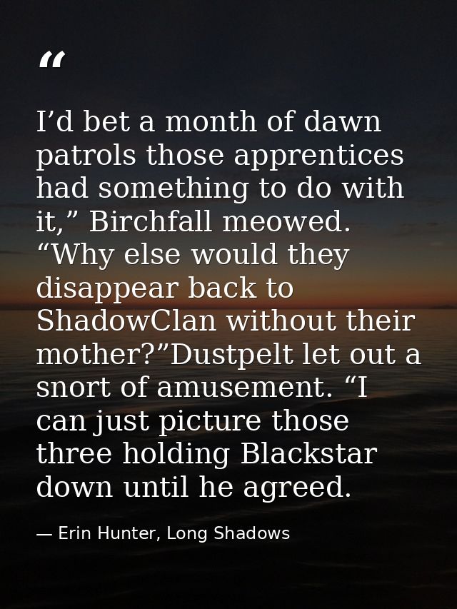 I’d bet a month of dawn patrols those apprentices had something to do with it,” Birchfall meowed. “Why else would they d — Erin Hunter, Long Shadows