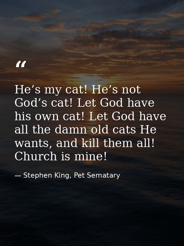 He’s my cat! He’s not God’s cat! Let God have his own cat! Let God have all the damn old cats He wants, and kill them al — Stephen King, Pet Sematary