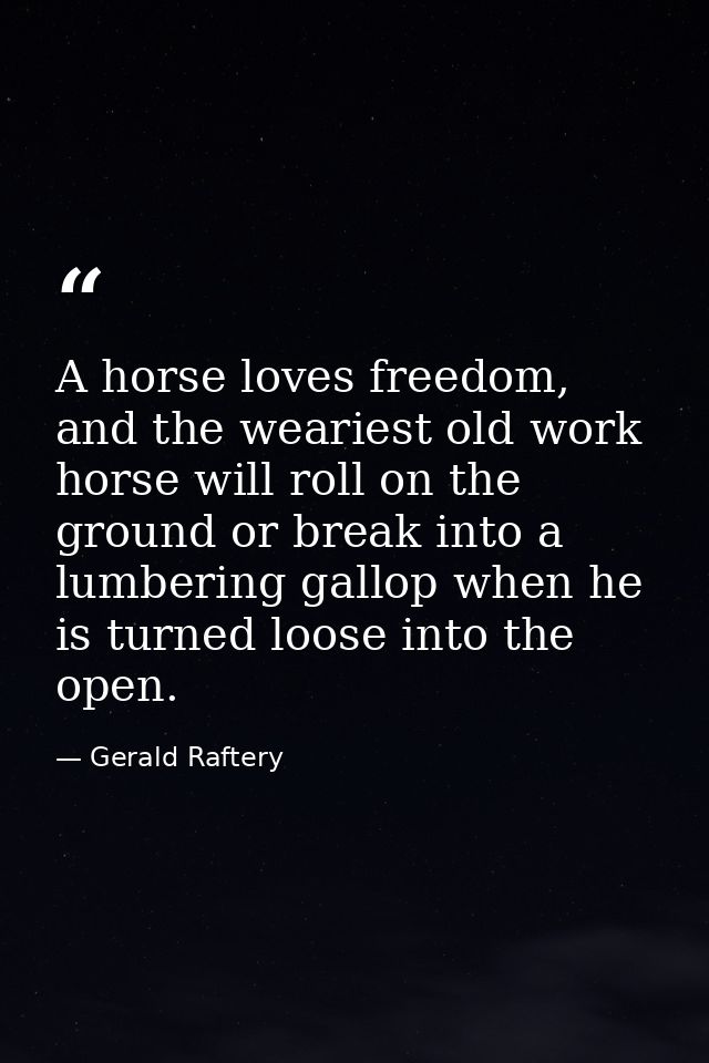 A horse loves freedom, and the weariest old work horse will roll on the ground or break into a lumbering gallop when he  — Gerald Raftery