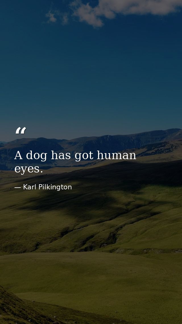 A dog has got human eyes. — Karl Pilkington