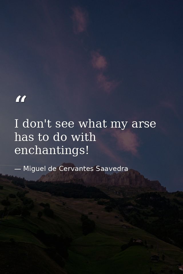 I don't see what my arse has to do with enchantings! — Miguel de Cervantes Saavedra