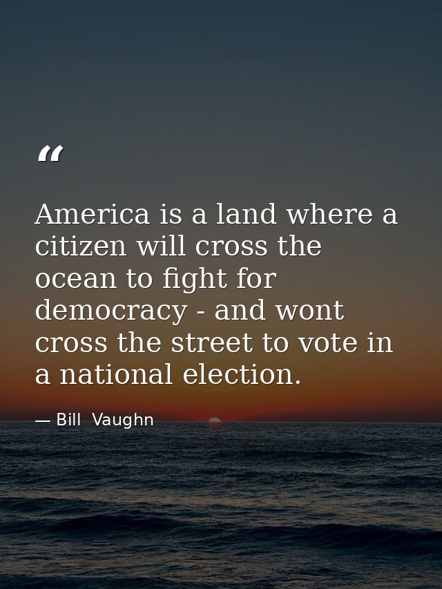 America is a land where a citizen will cross the ocean to fight for democracy - and wont cross the street to vote in a n — Bill  Vaughn