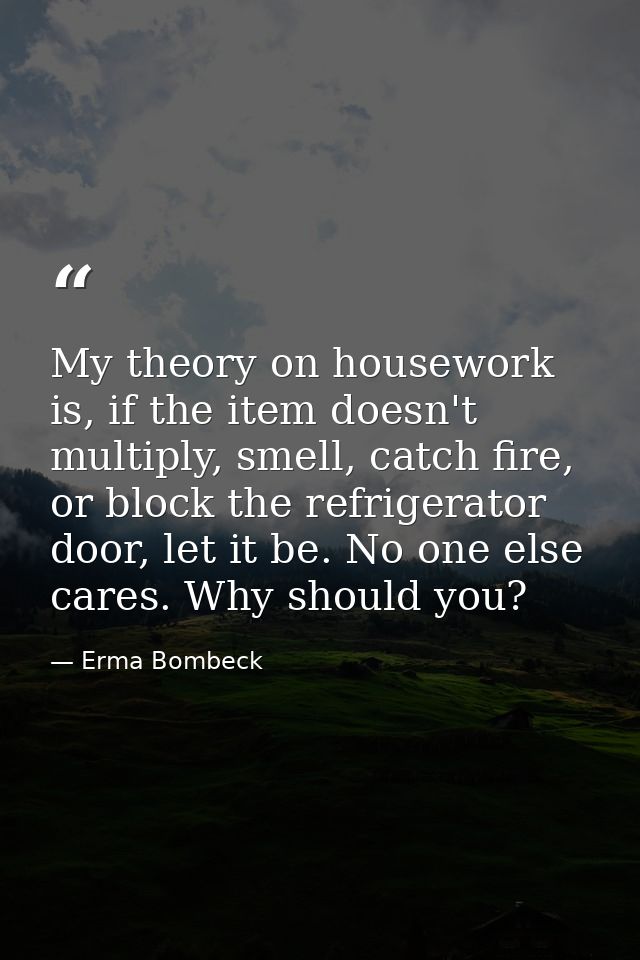 My theory on housework is, if the item doesn't multiply, smell, catch fire, or block the refrigerator door, let it be. N — Erma Bombeck