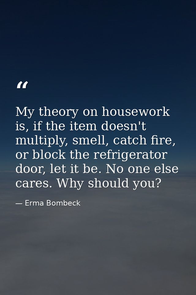 My theory on housework is, if the item doesn't multiply, smell, catch fire, or block the refrigerator door, let it be. N — Erma Bombeck