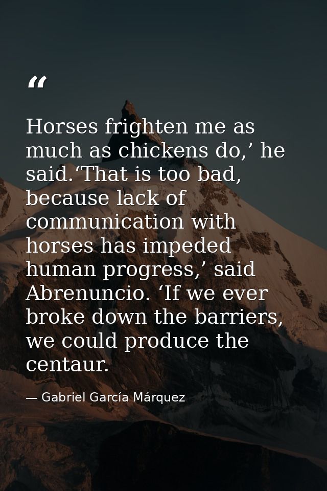 Horses frighten me as much as chickens do,’ he said.‘That is too bad, because lack of communication with horses has impe — Gabriel García Márquez