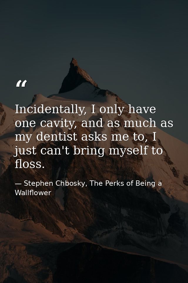Incidentally, I only have one cavity, and as much as my dentist asks me to, I just can't bring myself to floss. — Stephen Chbosky, The Perks of Being a Wallflower
