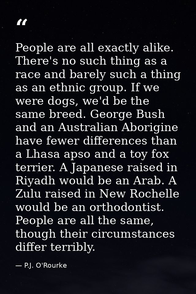 People are all exactly alike. There's no such thing as a race and barely such a thing as an ethnic group. If we were dog — P.J. O'Rourke