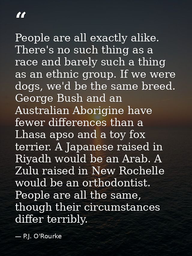People are all exactly alike. There's no such thing as a race and barely such a thing as an ethnic group. If we were dog — P.J. O'Rourke