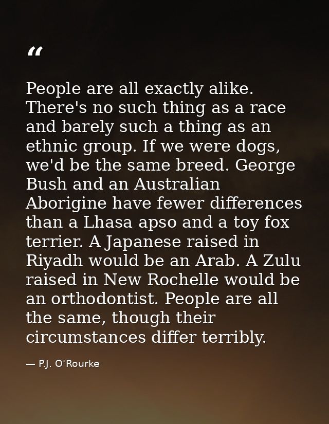 People are all exactly alike. There's no such thing as a race and barely such a thing as an ethnic group. If we were dog — P.J. O'Rourke