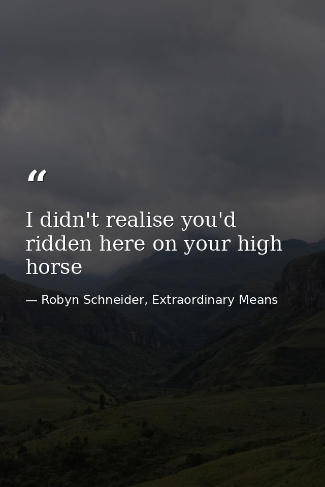 I didn't realise you'd ridden here on your high horse — Robyn Schneider, Extraordinary Means