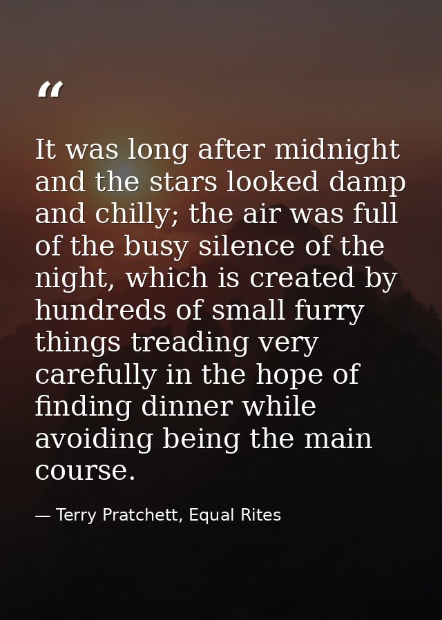 It was long after midnight and the stars looked damp and chilly; the air was full of the busy silence of the night, whic — Terry Pratchett, Equal Rites