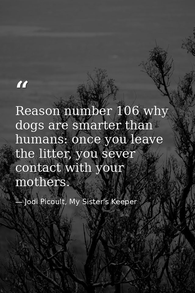 Reason number 106 why dogs are smarter than humans: once you leave the litter, you sever contact with your mothers. — Jodi Picoult, My Sister's Keeper