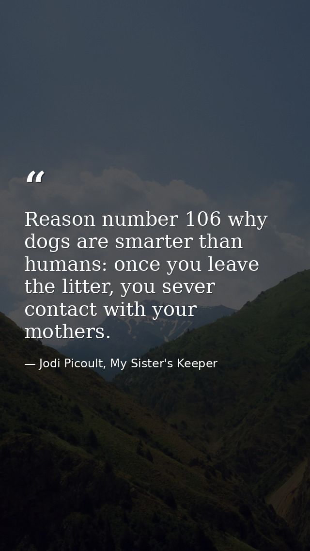 Reason number 106 why dogs are smarter than humans: once you leave the litter, you sever contact with your mothers. — Jodi Picoult, My Sister's Keeper
