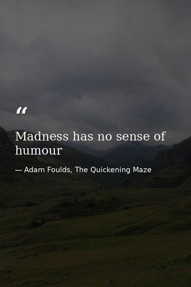 Madness has no sense of humour — Adam Foulds, The Quickening Maze