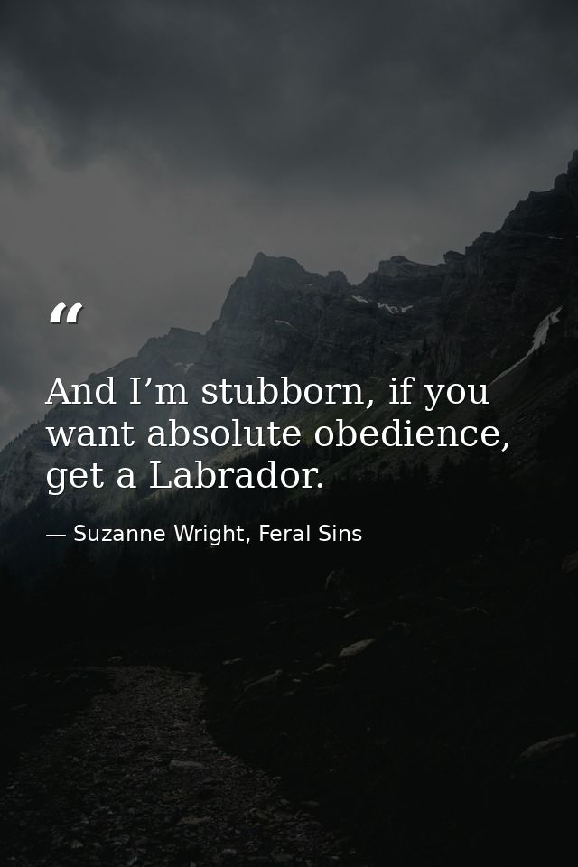 And I’m stubborn, if you want absolute obedience, get a Labrador. — Suzanne Wright, Feral Sins