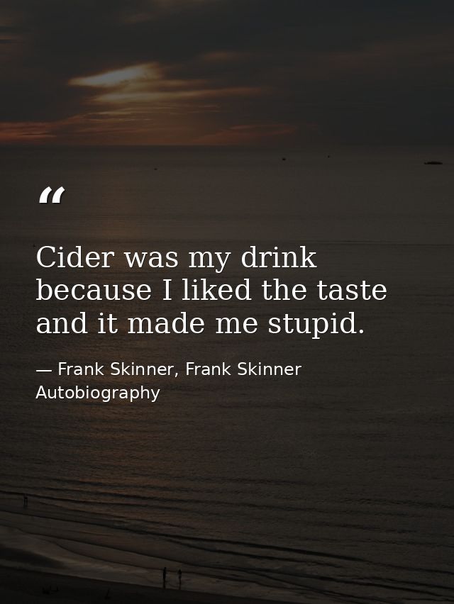 Cider was my drink because I liked the taste and it made me stupid. — Frank Skinner, Frank Skinner Autobiography