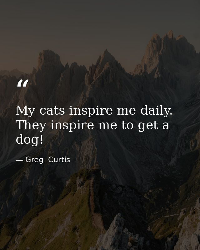 My cats inspire me daily. They inspire me to get a dog! — Greg  Curtis