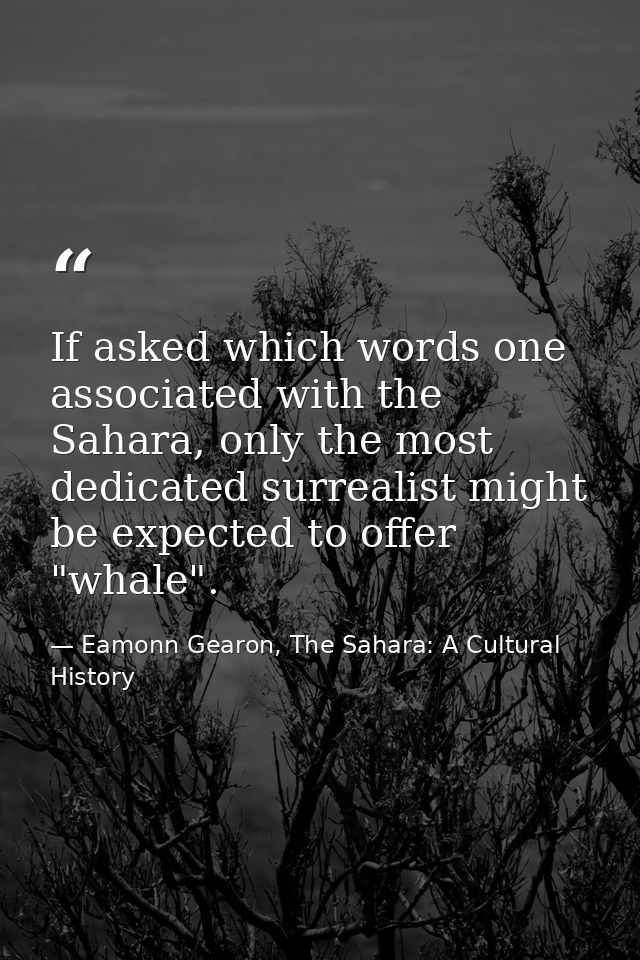 If asked which words one associated with the Sahara, only the most dedicated surrealist might be expected to offer "whal — Eamonn Gearon, The Sahara: A Cultural History