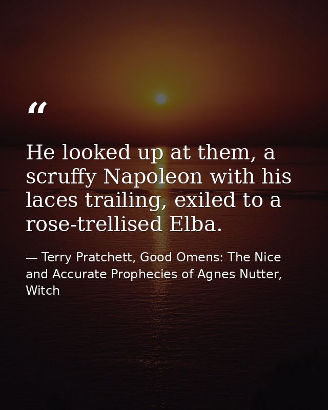 He looked up at them, a scruffy Napoleon with his laces trailing, exiled to a rose-trellised Elba. — Terry Pratchett, Good Omens: The Nice and Accurate Prophecies of Agnes Nutter, Witch