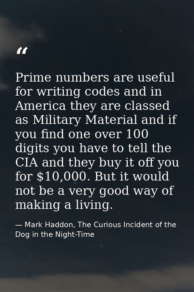 Prime numbers are useful for writing codes and in America they are classed as Military Material and if you find one over — Mark Haddon, The Curious Incident of the Dog in the Night-Time