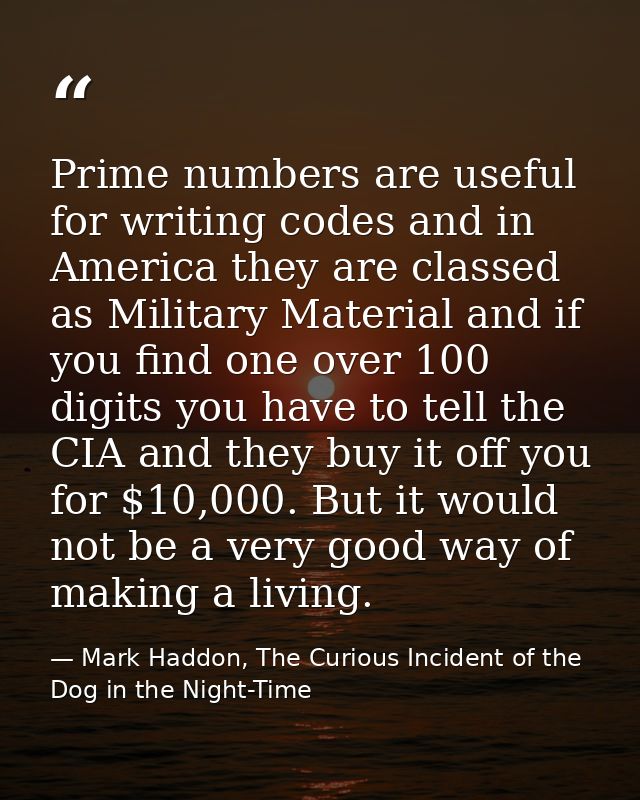 Prime numbers are useful for writing codes and in America they are classed as Military Material and if you find one over — Mark Haddon, The Curious Incident of the Dog in the Night-Time