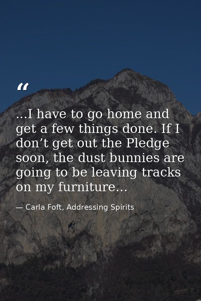 ...I have to go home and get a few things done. If I don’t get out the Pledge soon, the dust bunnies are going to be lea — Carla Foft, Addressing Spirits