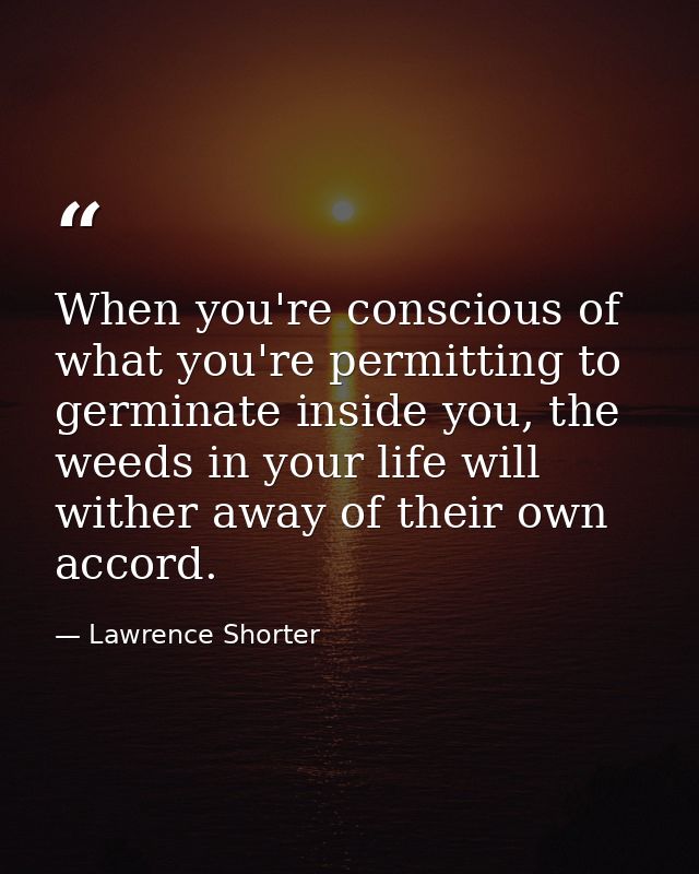When you're conscious of what you're permitting to germinate inside you, the weeds in your life will wither away of thei — Lawrence Shorter