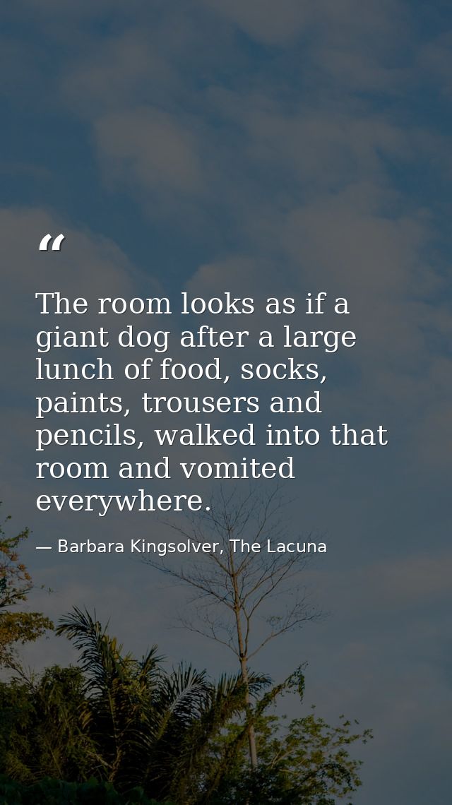 The room looks as if a giant dog after a large lunch of food, socks, paints, trousers and pencils, walked into that room — Barbara Kingsolver, The Lacuna