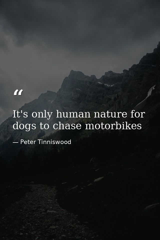 It's only human nature for dogs to chase motorbikes — Peter Tinniswood