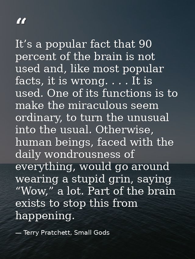 It’s a popular fact that 90 percent of the brain is not used and, like most popular facts, it is wrong. . . . It is used — Terry Pratchett, Small Gods
