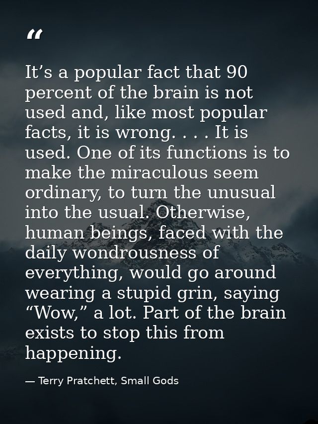 It’s a popular fact that 90 percent of the brain is not used and, like most popular facts, it is wrong. . . . It is used — Terry Pratchett, Small Gods