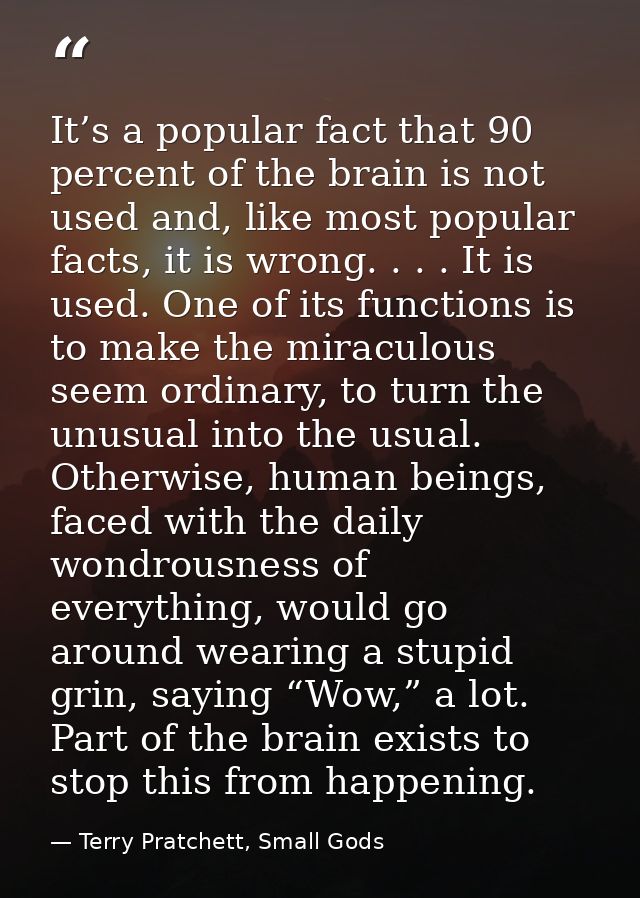 It’s a popular fact that 90 percent of the brain is not used and, like most popular facts, it is wrong. . . . It is used — Terry Pratchett, Small Gods