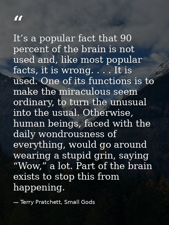 It’s a popular fact that 90 percent of the brain is not used and, like most popular facts, it is wrong. . . . It is used — Terry Pratchett, Small Gods