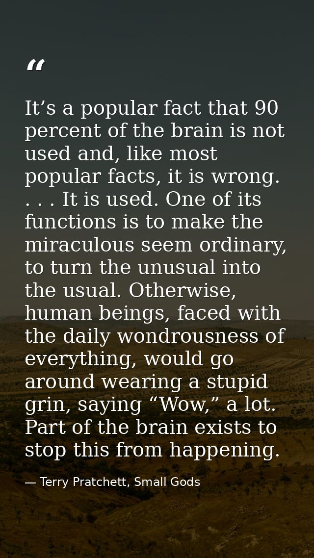 It’s a popular fact that 90 percent of the brain is not used and, like most popular facts, it is wrong. . . . It is used — Terry Pratchett, Small Gods