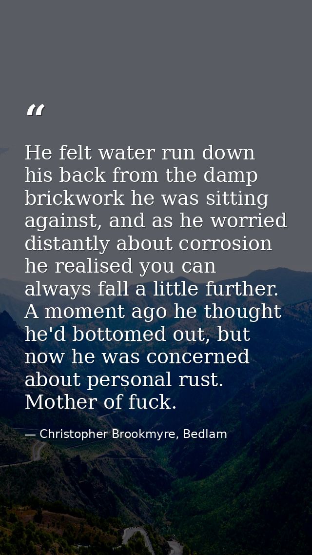 He felt water run down his back from the damp brickwork he was sitting against, and as he worried distantly about corros — Christopher Brookmyre, Bedlam