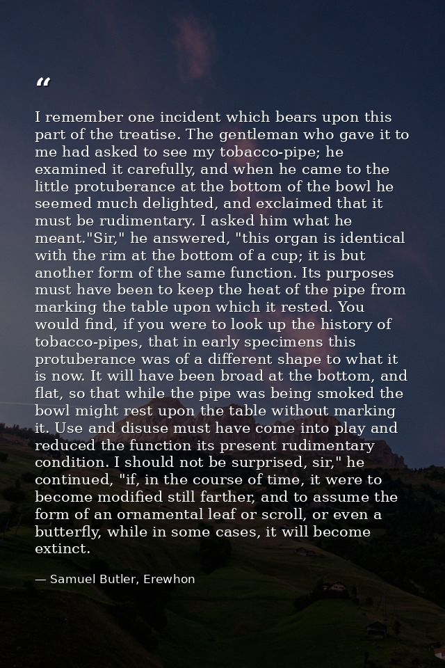 I remember one incident which bears upon this part of the treatise. The gentleman who gave it to me had asked to see my  — Samuel Butler, Erewhon
