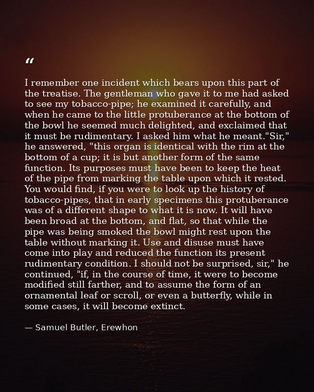 I remember one incident which bears upon this part of the treatise. The gentleman who gave it to me had asked to see my  — Samuel Butler, Erewhon