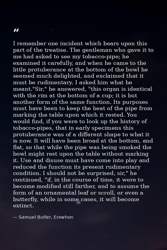 I remember one incident which bears upon this part of the treatise. The gentleman who gave it to me had asked to see my  — Samuel Butler, Erewhon