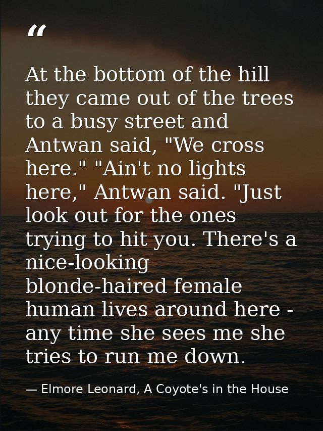 At the bottom of the hill they came out of the trees to a busy street and Antwan said, "We cross here." "Ain't no lights — Elmore Leonard, A Coyote's in the House