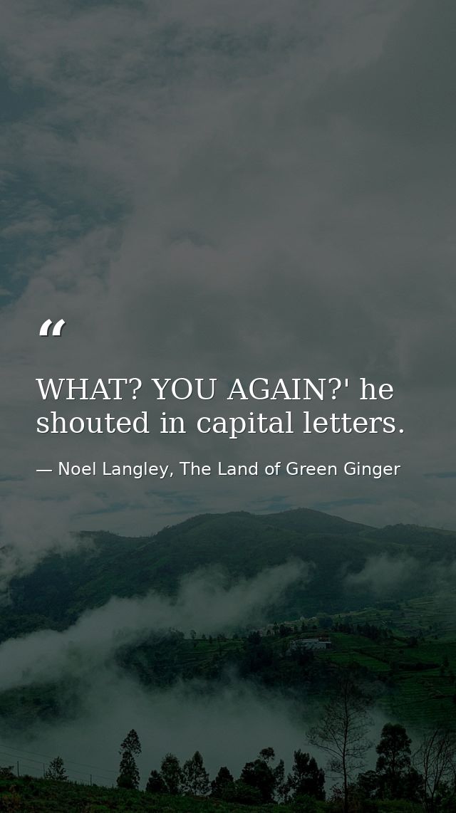 WHAT? YOU AGAIN?' he shouted in capital letters. — Noel Langley, The Land of Green Ginger