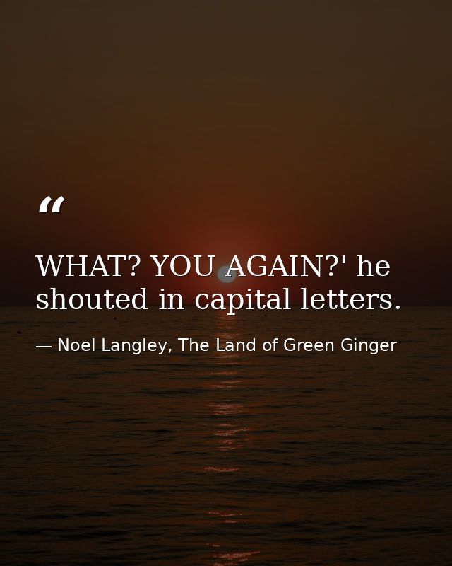 WHAT? YOU AGAIN?' he shouted in capital letters. — Noel Langley, The Land of Green Ginger