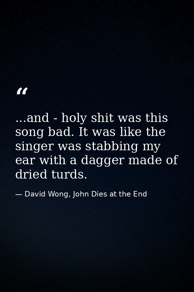 ...and - holy shit was this song bad. It was like the singer was stabbing my ear with a dagger made of dried turds. — David Wong, John Dies at the End