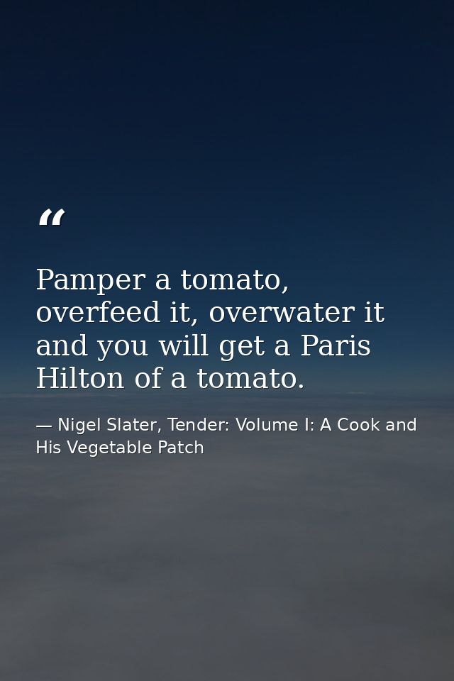 Pamper a tomato, overfeed it, overwater it and you will get a Paris Hilton of a tomato. — Nigel Slater, Tender: Volume I: A Cook and His Vegetable Patch