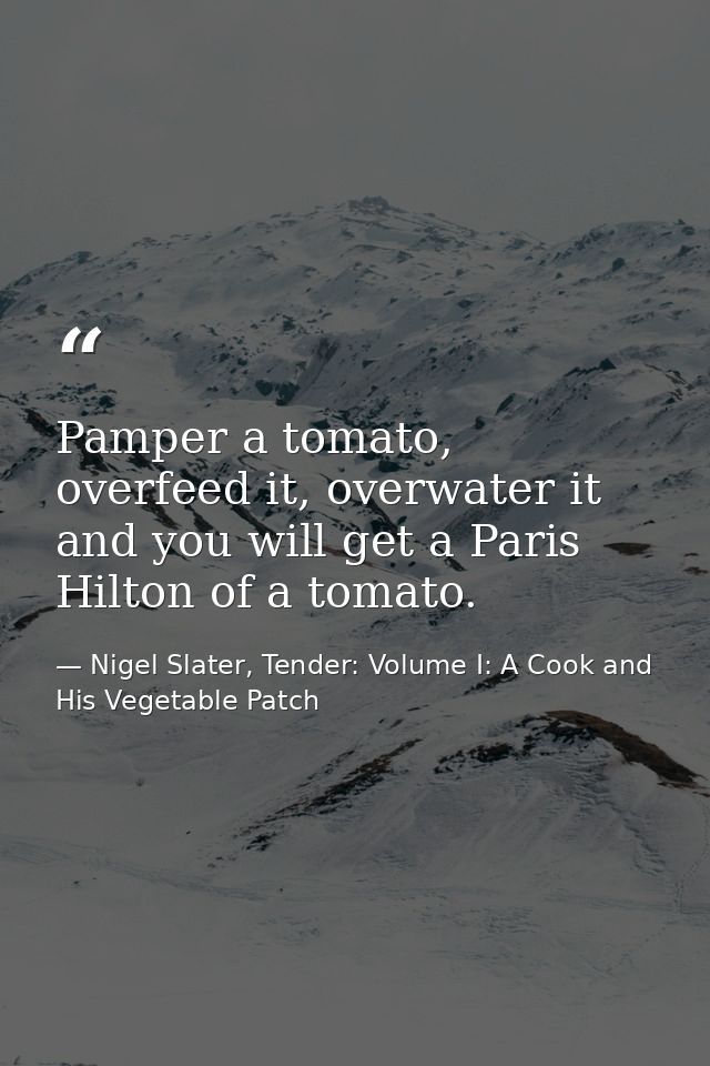 Pamper a tomato, overfeed it, overwater it and you will get a Paris Hilton of a tomato. — Nigel Slater, Tender: Volume I: A Cook and His Vegetable Patch