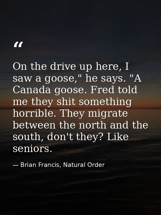 On the drive up here, I saw a goose," he says. "A Canada goose. Fred told me they shit something horrible. They migrate  — Brian Francis, Natural Order
