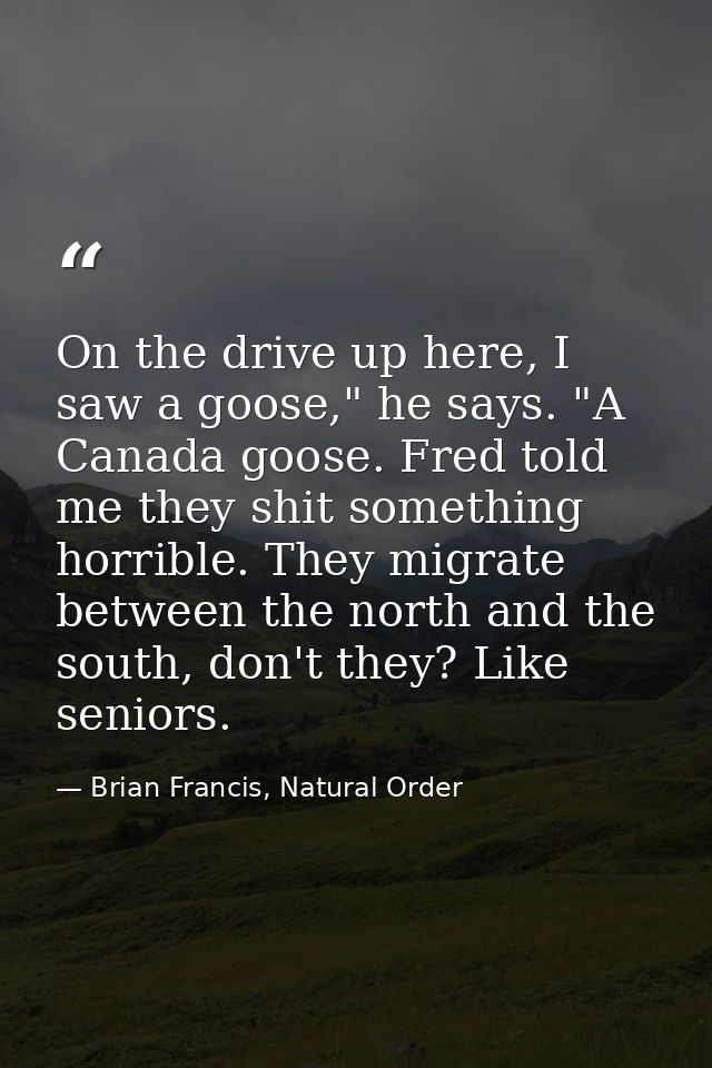 On the drive up here, I saw a goose," he says. "A Canada goose. Fred told me they shit something horrible. They migrate  — Brian Francis, Natural Order