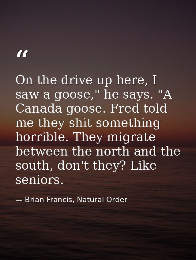 On the drive up here, I saw a goose," he says. "A Canada goose. Fred told me they shit something horrible. They migrate  — Brian Francis, Natural Order