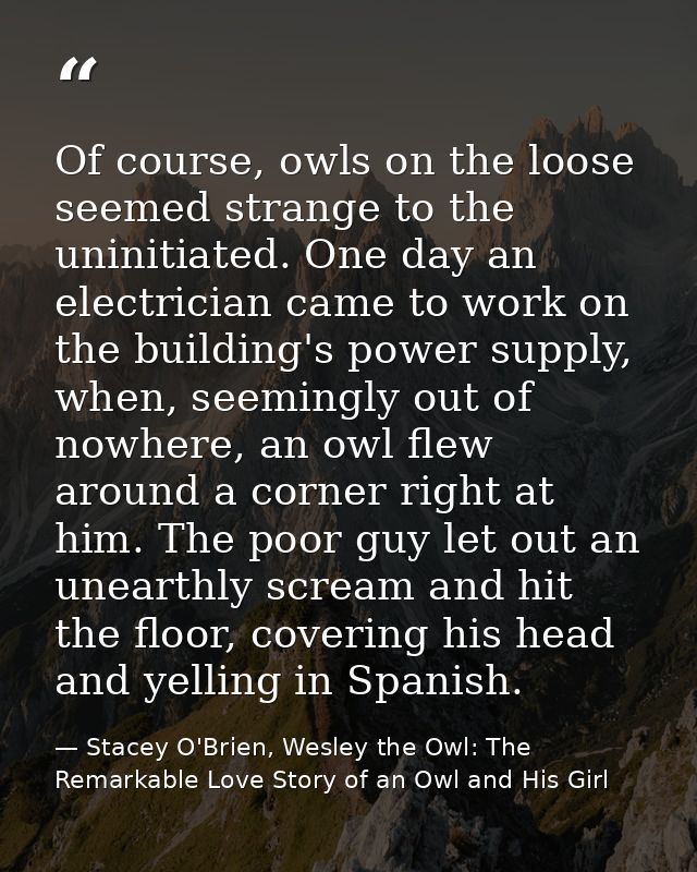 Of course, owls on the loose seemed strange to the uninitiated. One day an electrician came to work on the building's po — Stacey O'Brien, Wesley the Owl: The Remarkable Love Story of an Owl and His Girl