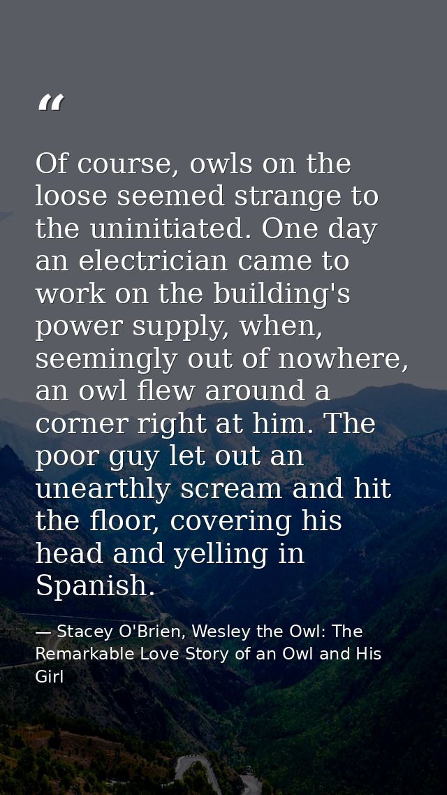 Of course, owls on the loose seemed strange to the uninitiated. One day an electrician came to work on the building's po — Stacey O'Brien, Wesley the Owl: The Remarkable Love Story of an Owl and His Girl