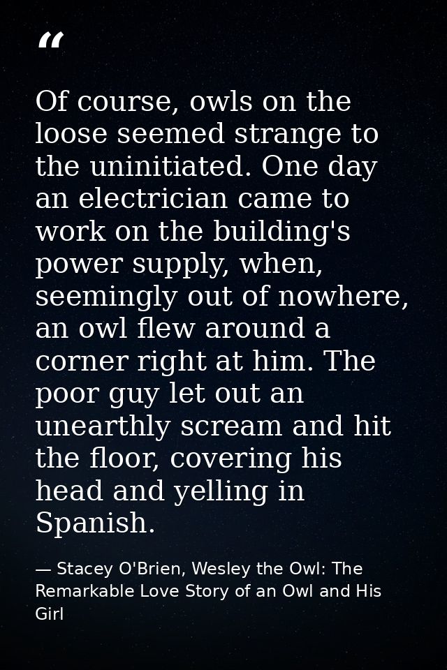 Of course, owls on the loose seemed strange to the uninitiated. One day an electrician came to work on the building's po — Stacey O'Brien, Wesley the Owl: The Remarkable Love Story of an Owl and His Girl